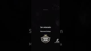 Ben Seni Çok Sevdim