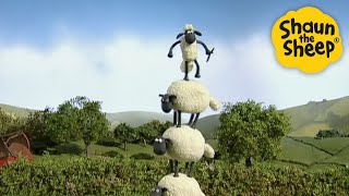 Sheep Tower Shaun The Sheep - Cartoons For Kids Full Episodes Compilation 1 Hour