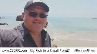 18 Big Fish In A Small Pond I Brian Jue I C2C