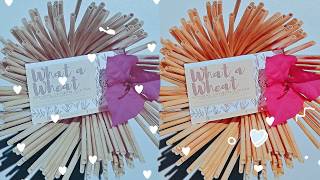 WHAT A WHEAT Drinking straws - Natural Biodegradable wheat stems - The Alternative to plastic straw