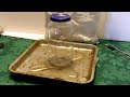 How to make a $1 Roach trap and end your bug problems for good!