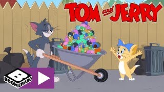 Tom & Jerry Show I Hediye | Cartoonito Türkiye