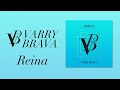 Reina Video preview