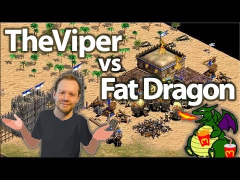 All In Aggression! TheViper vs THE FAT DRAGON!