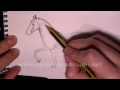 dessiner un cheval au galop