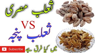 Salab Misri Or Salep Benefits Salab Misri Ky Fadye For Man Salab Misri Ki Pehchan