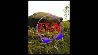 Fhn Video