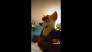 Finally Youtube Pooping Myself Because Nobody Else Even Dares To At All