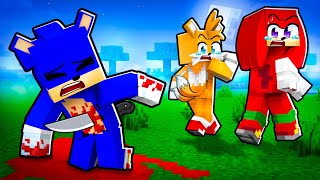 The Sad Story Of Sonic In Minecraft