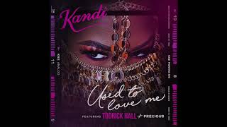 Watch Kandi Used To Love Me feat Todrick Hall  Precious video