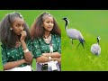 አንተ ልጅ ጎፈሬ ማኛ የሆነ ባህላዊ ሙዚቃ ዘና በሉ