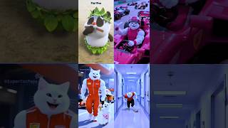 Video Short Collection Kitten 62,Coffin Dance Song Cover.