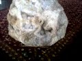 Di Jual Permata Mentah Netto 4kg images Di Jual Permata Mentah Netto 4kg