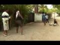 INY`EE GWEDEGWEDE KING MAJUTO COMEDY EAST AFRICAN