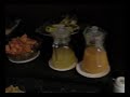 kolkata travelouge