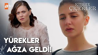 Kader Yurdun Çatısında Kırgın Çiçekler