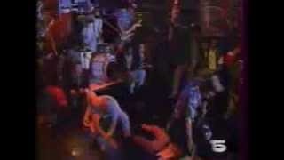 Washington Dead Cats - Voodoo Island (on TV)