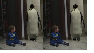 incontri con animali divertenti,funny with animals