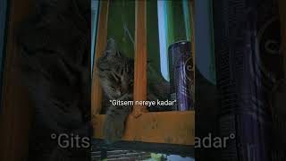 Mor Ve Ötesi Speed Up