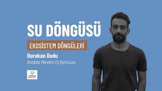 Ekosistem Döngüleri | SU DÖNGÜSÜ