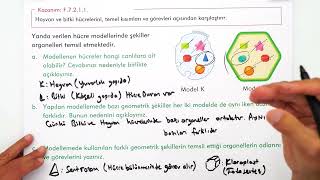 Yarinki̇ Fen Sinavinda Çikar7 Sinif