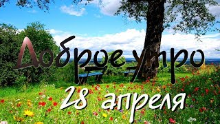 Доброе Утро - Выпуск 153 (28.04.2019)