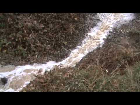 Коростишівська паперова фабрика зливає хімічні відходи в р.Тетерів