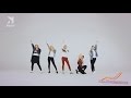 Red Velvet - Ice Cream Cake Dance Compilation ( Mirrored ) [2nd ver]