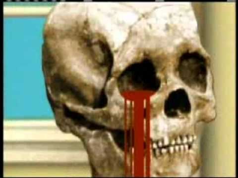 Amerika the Brutal