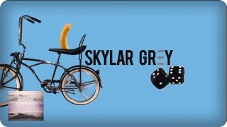 Watch Skylar Grey Cmon Let Me Ride video