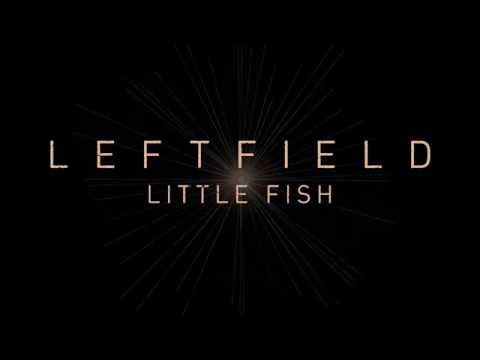 Little Fish Video