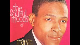 Watch Marvin Gaye Love For Sale video