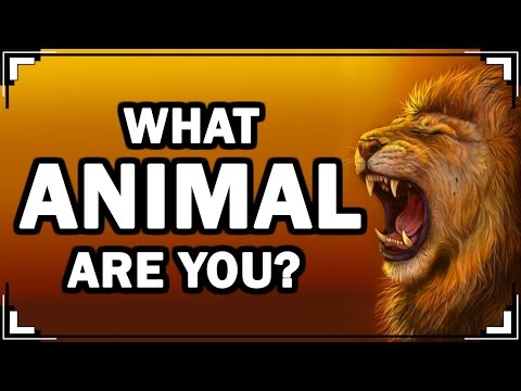 Play this video What ANIMAL Are You? Personality Test With Animals