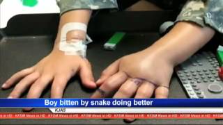 Child Snake Bite Victim Experiencing Complications