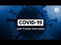 How to wash your hands to prevent the spread of COVID-19