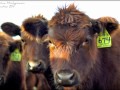 Success Story: Realizing the Importance of Agriculture - What's Your Story?