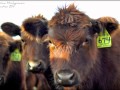 Success Story: Realizing the Importance of Agriculture - What's Your Story?