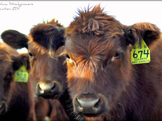 Success Story: Realizing the Importance of Agriculture - What's Your Story?