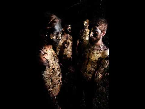 She Is Turning Into You Video