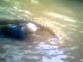 anaconda(kuriju) gigante casi trago una persona.... paraguay