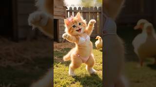 This Cats Bikini Dance Just Broke The Internet