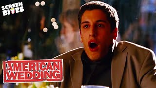 Proposal Scene American Wedding Screen Bites