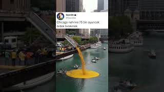 Nehire 75 Bin Oyuncak Ördek Bırakmak Şaşırdık
