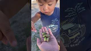 Can You Count