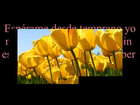 JESUS ADRIAN ROMERO LETRA Y MUSICA jesus adrian romero letra y musica: