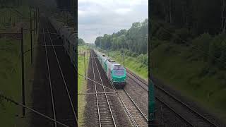 De Avec 4