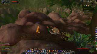 World of Warcraft