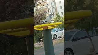 1 Ekim 2025