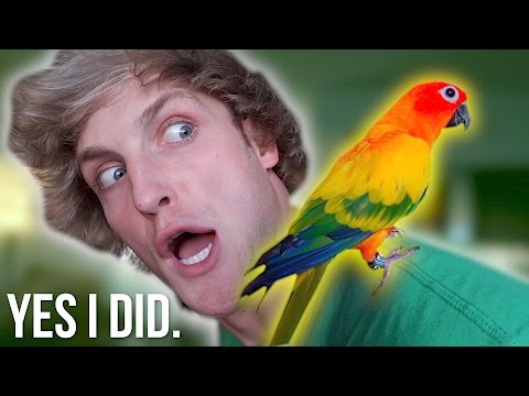 No Value Video