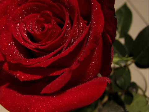 Aao Ge Jab Tum - Ustad Rashid Khan